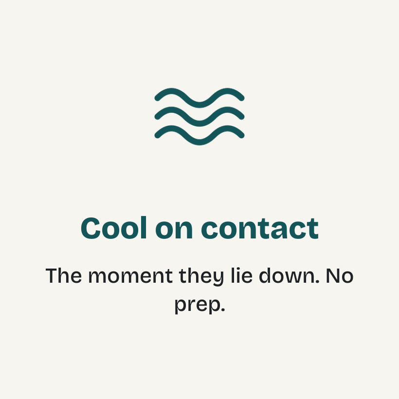 Cool, Not Ice-Cold: The Straight Truth About How Dog Cooling Mats Work