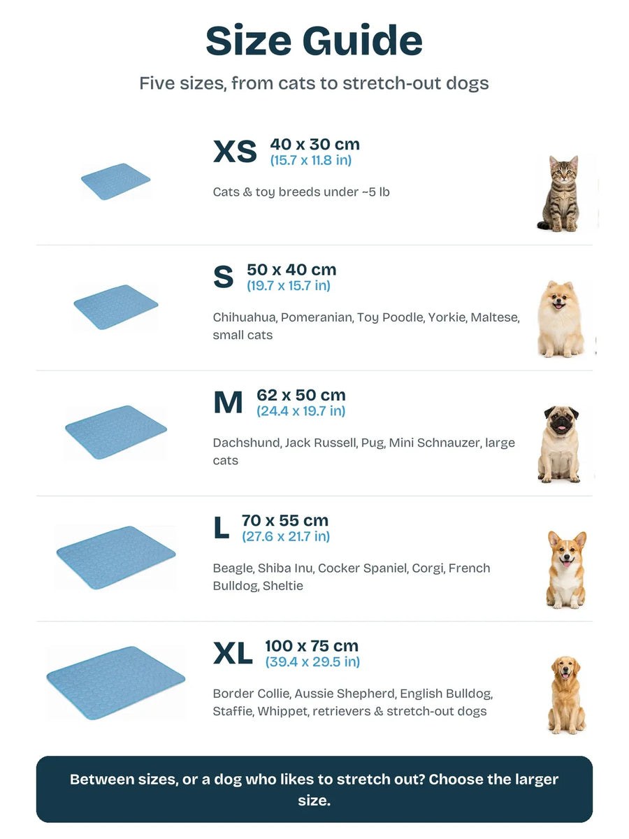Coolden size guide: Medium 62 by 50 cm and Large 70 by 55 cm