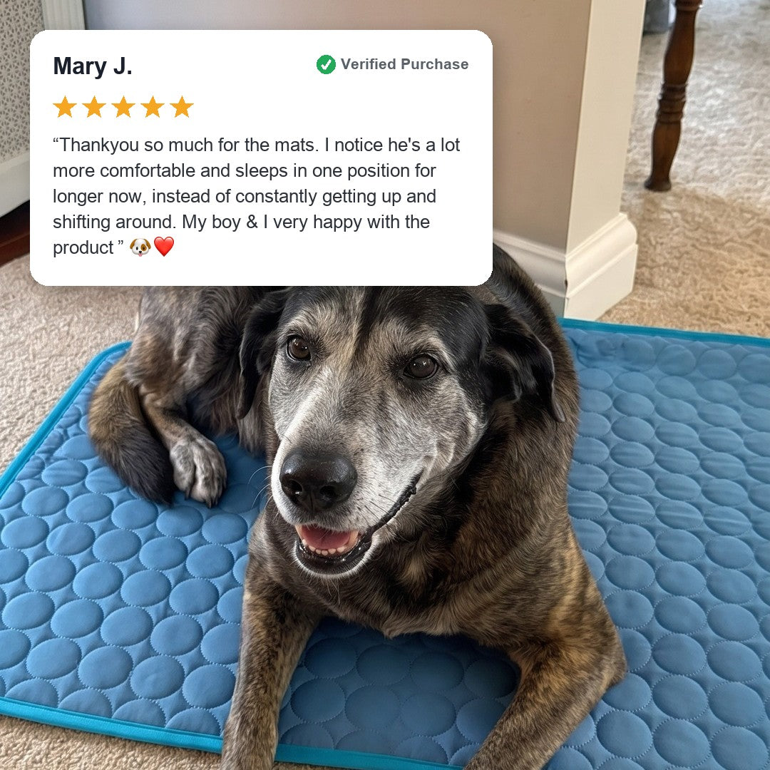 Verified 5-star review from Mary J. - her senior dog resting comfortably on the Coolden cooling mat