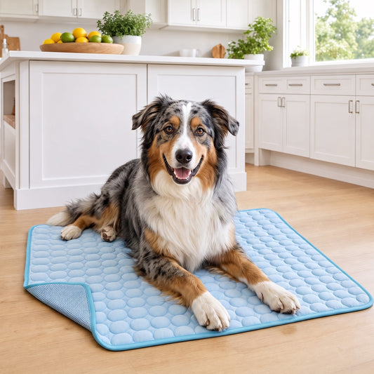 Australian Shepherd relaxing on the Coolden ice-silk cooling mat in a bright modern kitchen