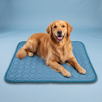 Golden retriever relaxing on the Blue Coolden cooling mat