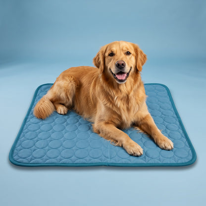 Golden retriever relaxing on the Blue Coolden cooling mat