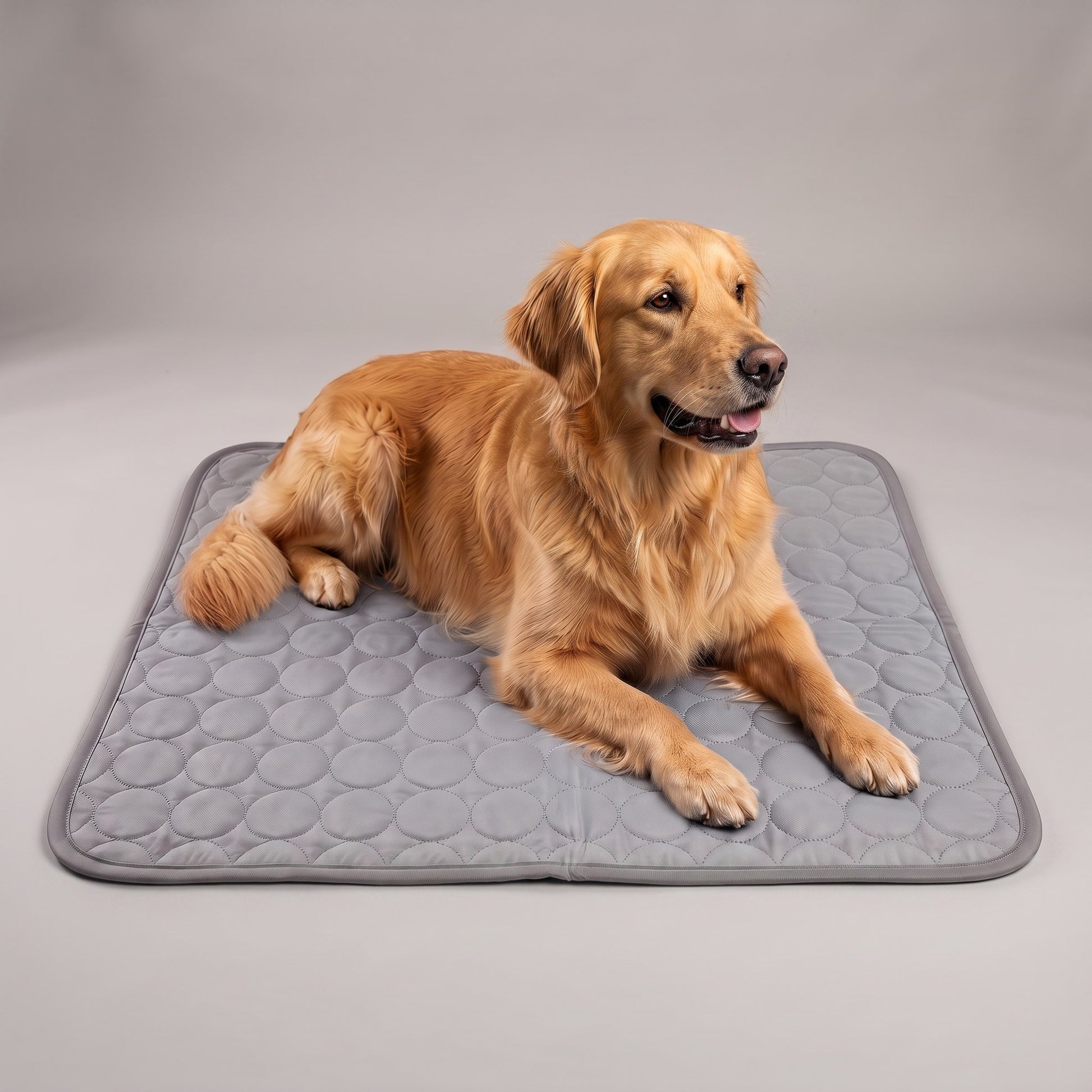 Golden retriever relaxing on the Light Grey Coolden cooling mat