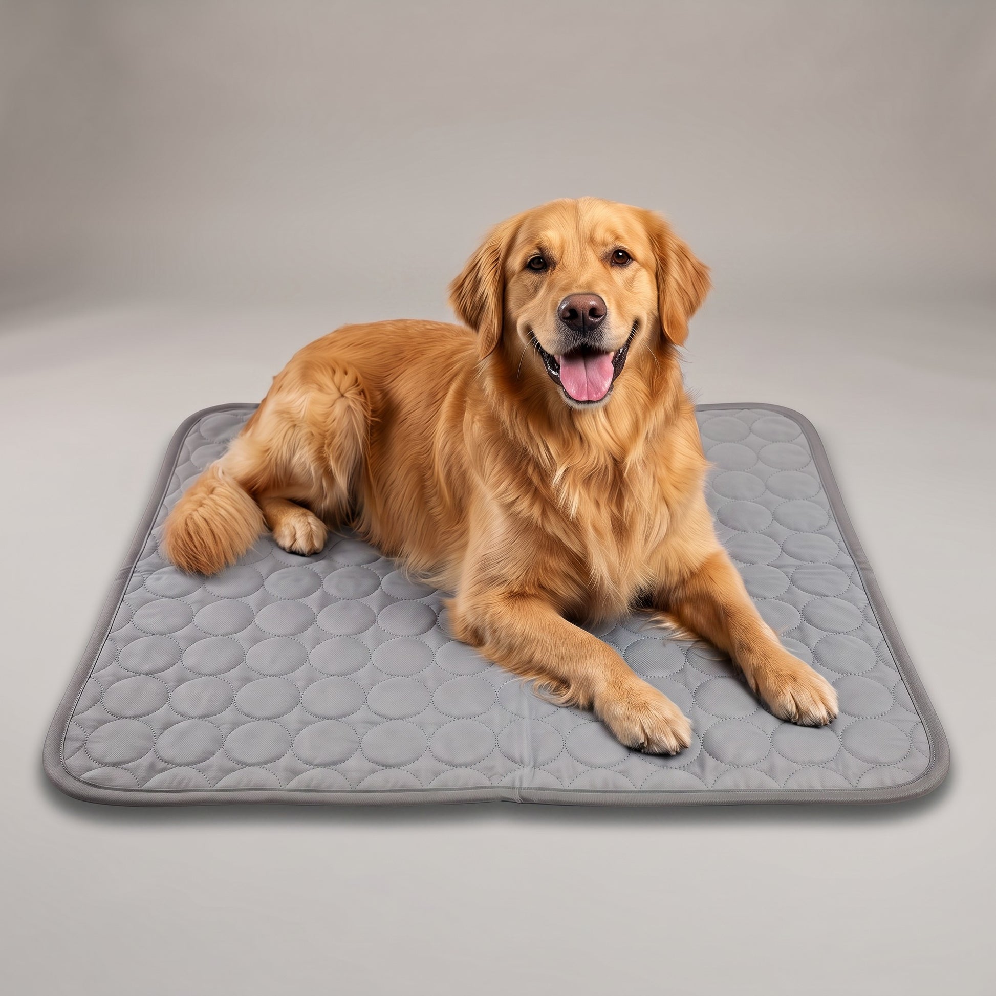 Golden retriever relaxing on the Light Grey Coolden cooling mat