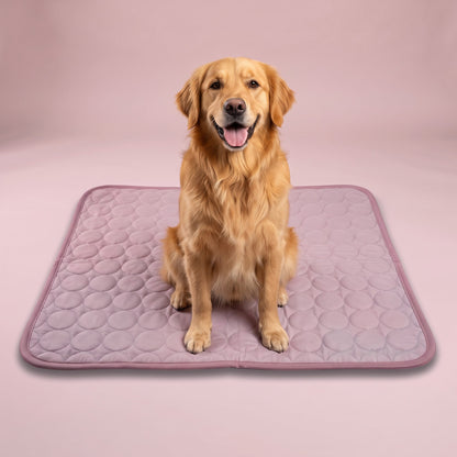 Golden retriever relaxing on the Pink Coolden cooling mat