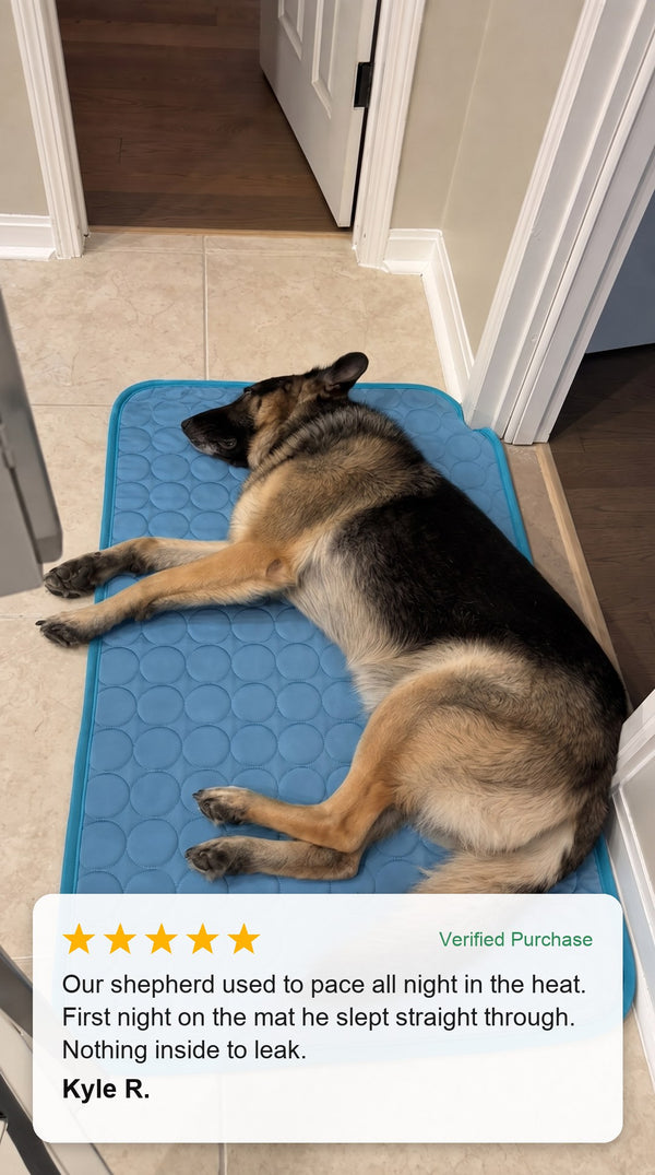 Verified customer photo review - German shepherd sleeping on the Coolden cooling mat