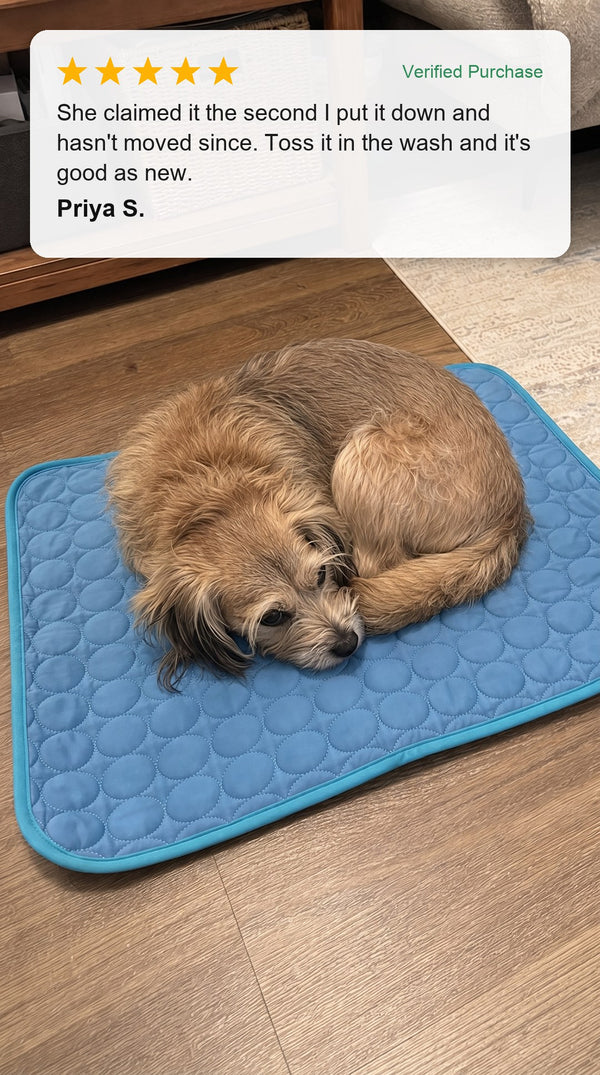 Verified customer photo review - terrier curled up on the Coolden cooling mat