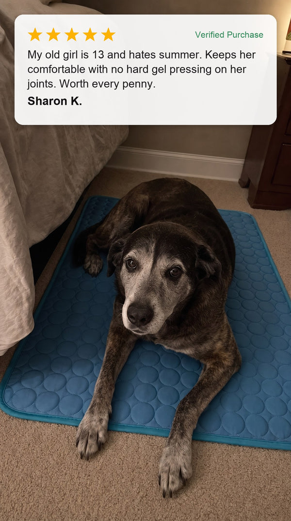 Verified customer photo review - senior dog resting on the Coolden cooling mat