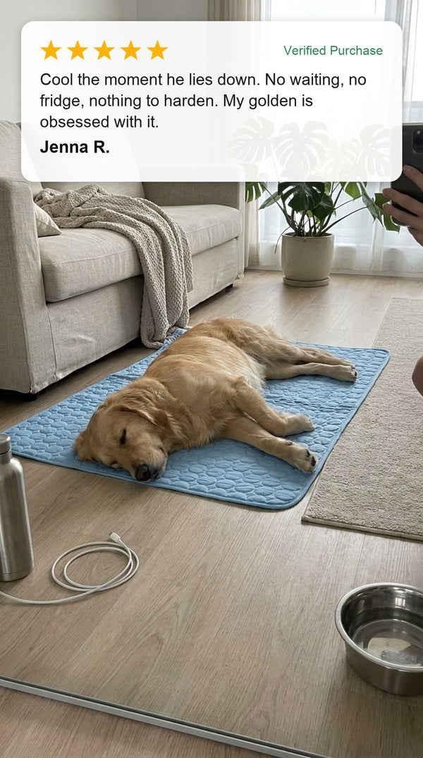 Verified customer photo review - golden retriever on the Coolden cooling mat