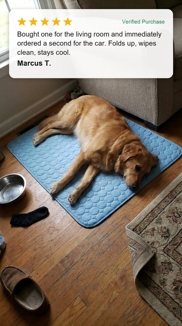 Verified customer photo review - golden retriever relaxing on the Coolden cooling mat